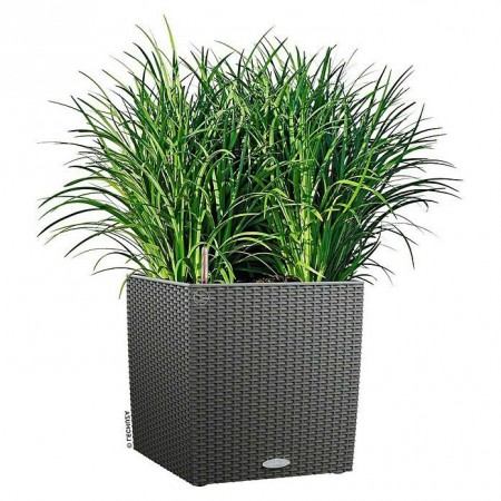 Chậu Trồng Cây : Hình Vuông Bằng Mây Đan - 40 x 40cm 